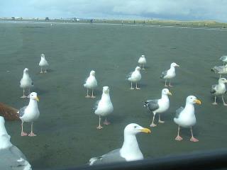 542271_3536080768009_1452047777_3267067_1667688166_n