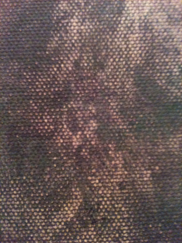 image_1362115928720057